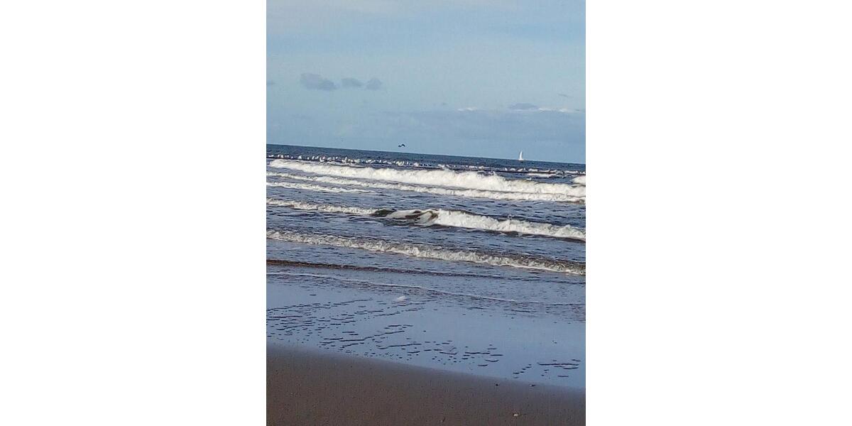 Ferienimmobilie Wuppertal Gemarkung Ronsdorf - 650&euro; | Angebot:25445243