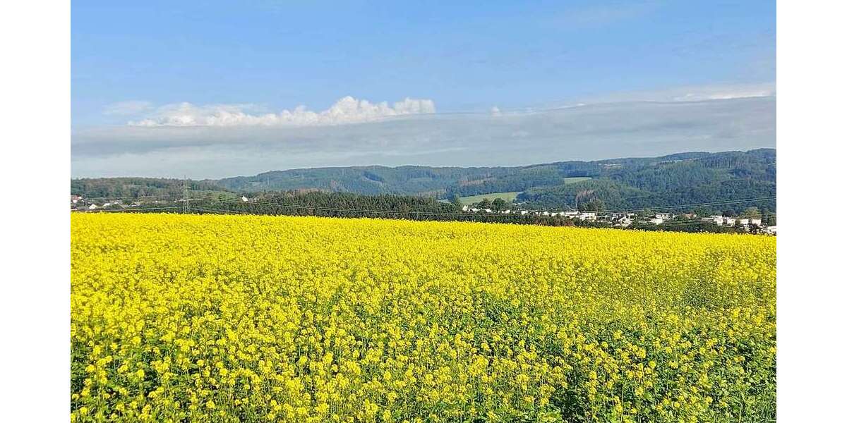 Einfamilienhaus Wuppertal Beyenburg - 5 Zimmer, 160 m&sup2;, 32.000.000&euro; | Angebot:22267698