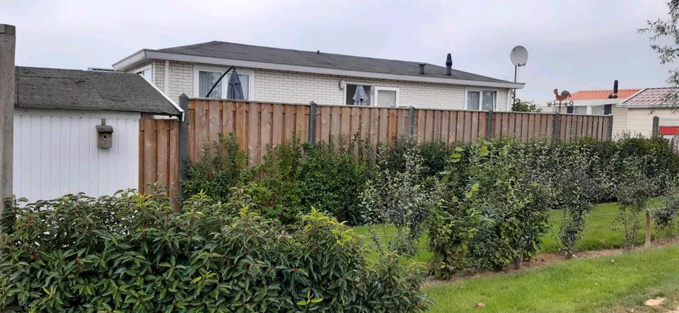 Ferienimmobilie Essen Stadtbezirk VII - 480&euro; | Angebot:25733985