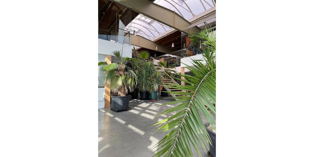 Gewerbeobjekt Bochum Westenfeld - 3.600.000&euro; | Angebot:26483763