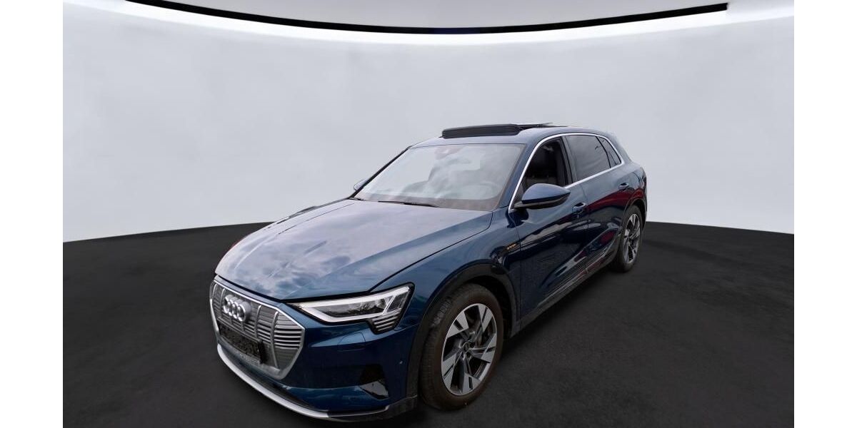 Audi e-tron 31.424 km 33.390 &euro; Hagen 58091