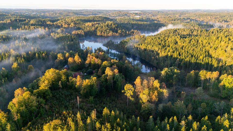 Ferienimmobilie Hilden - 640&euro; | Angebot:25917361