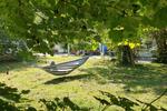 Reihenhaus Solingen Burg - 2.5 Zimmer, 100 m&sup2;, 1.800&euro; | Angebot:26568103