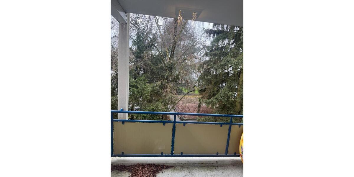 Etagenwohnung Essen Frillendorf - 3 Zimmer, 62 m&sup2;, 5.000&euro; | Angebot:25253021