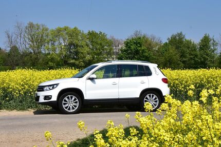 VW Tiguan 117.000 km 13.500 &euro; Wermelskirchen 42929