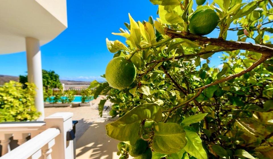 Ferienimmobilie Hagen Hagen-Mitte - 90&euro; | Angebot:25768336