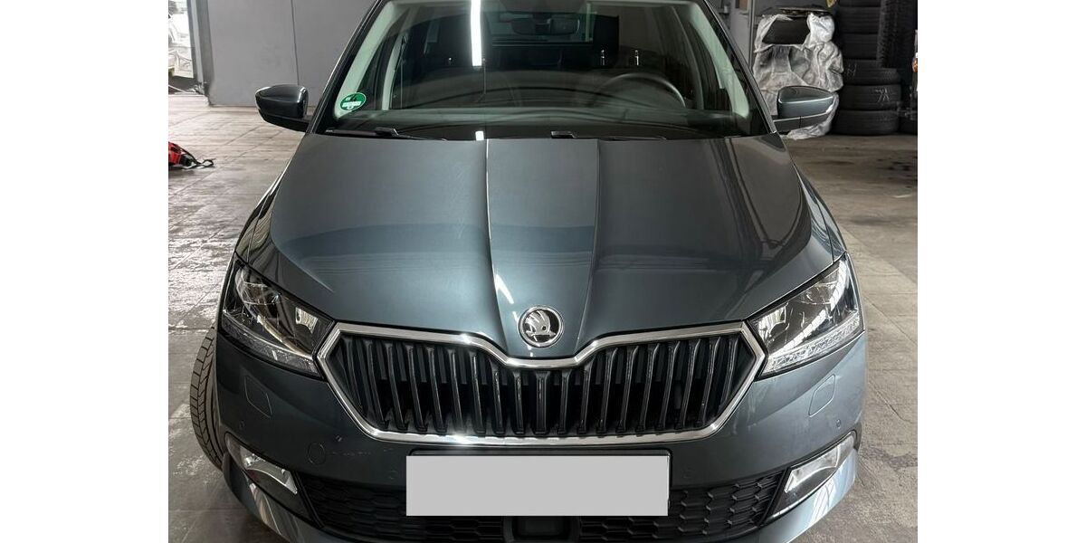 Skoda Fabia 48.158 km 13.999 &euro; Solingen 42699