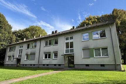 Wohnung Bochum Bochum-Nord - 3.5 Zimmer, 64 m&sup2;, 560&euro; | Angebot:26015247