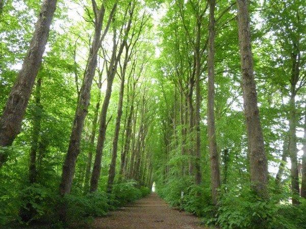 Ferienimmobilie Essen Stadtkern - 99&euro; | Angebot:25917368