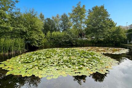 Gewerbeobjekt Essen Stadtbezirk II - 659&euro; | Angebot:22935382