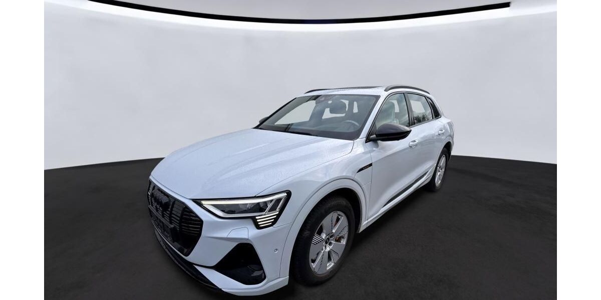 Audi e-tron 69.998 km 36.780 &euro; Hagen 58091