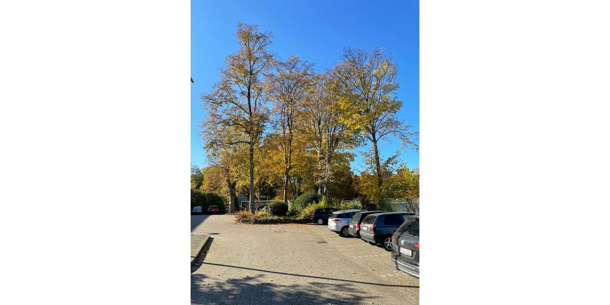 Gewerbeobjekt Essen Stadtbezirk IV - 8&euro; | Angebot:19815193