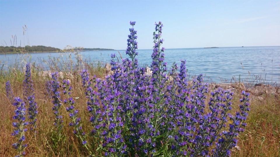 Ferienimmobilie Wuppertal Brill - 750&euro; | Angebot:24637038