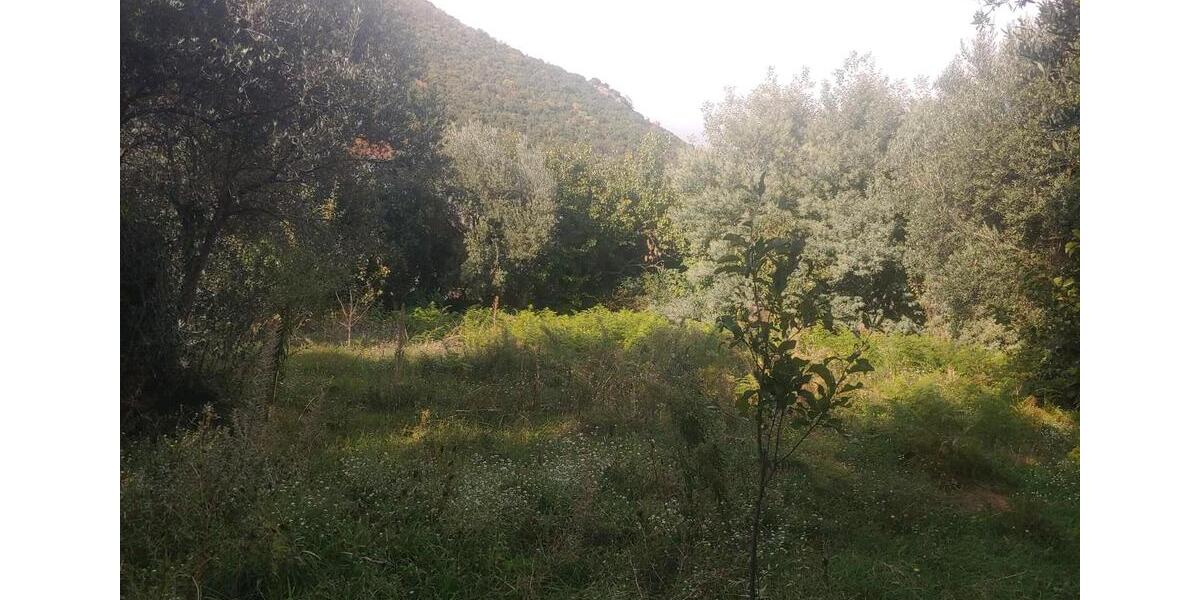 Ferienimmobilie Heiligenhaus - 170&euro; | Angebot:23139007