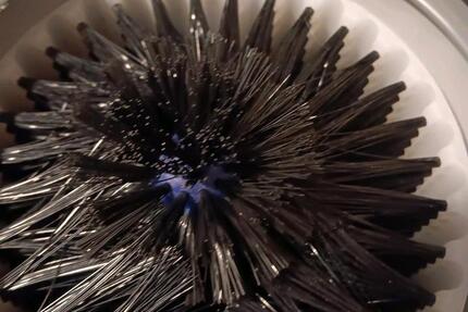 Gewerbeobjekt Wuppertal Elberfeld - 80&euro; | Angebot:24833551