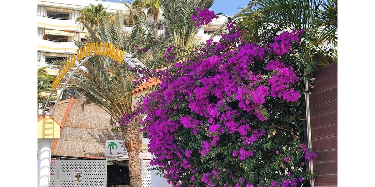 Ferienimmobilie Ratingen Lintorf - 60&euro; | Angebot:25925277