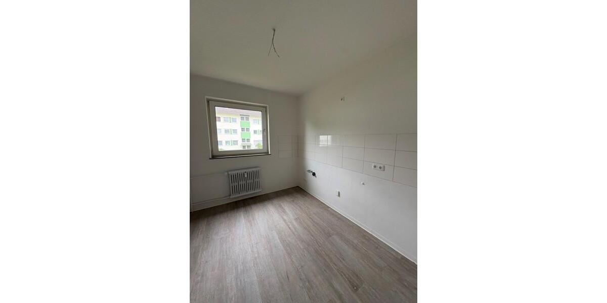 Dachgeschoßwohnung Essen Stadtbezirk V - 2.5 Zimmer, 56 m&sup2;, 559&euro; | Angebot:24268850