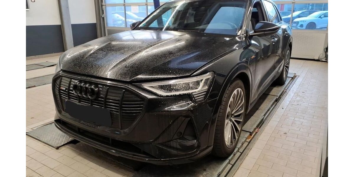 Audi e-tron 19.282 km 31.830 &euro; Hagen 58091