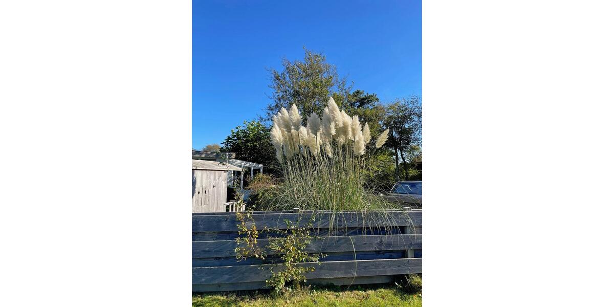 Ferienimmobilie Ennepetal - 395&euro; | Angebot:25830621