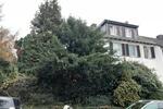 Erdgeschoßwohnung Velbert Velbert-Mitte - 2 Zimmer, 64 m&sup2;, 650&euro; | Angebot:26631289