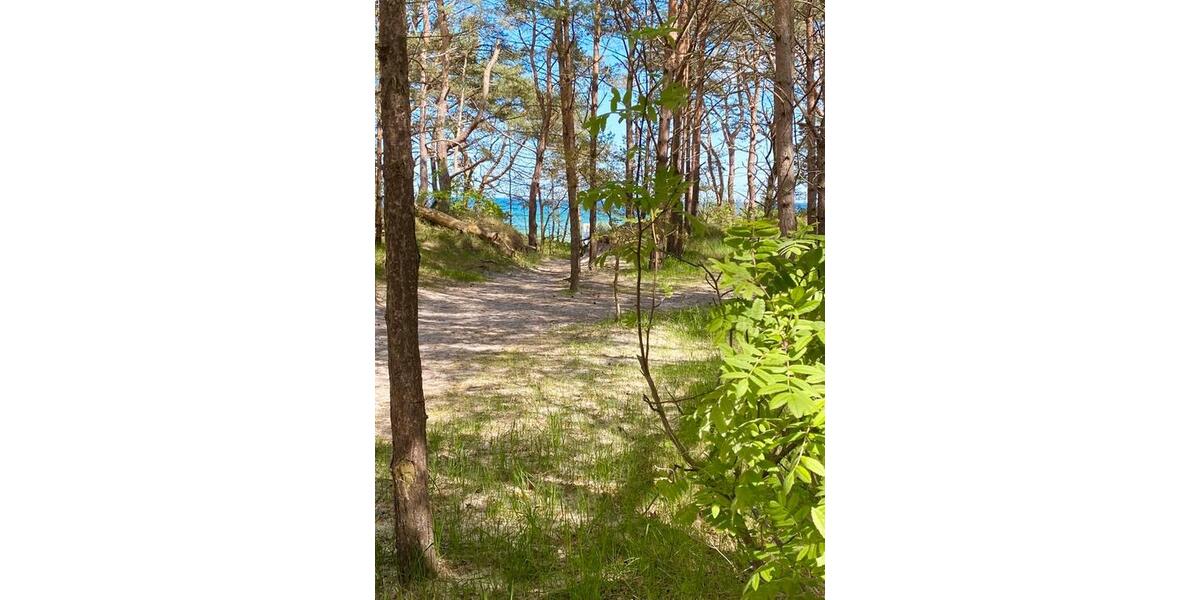 Ferienimmobilie Langenfeld (Rheinland) - 70&euro; | Angebot:25338998