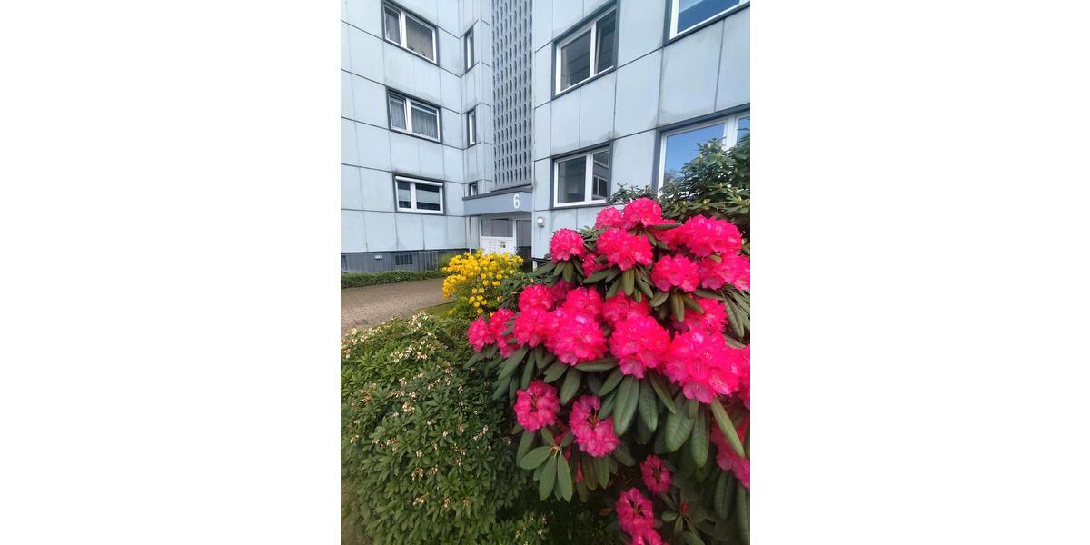 Erdgeschoßwohnung Wuppertal Gemarkung Elberfeld - 3 Zimmer, 84 m&sup2;, 1.250&euro; | Angebot:26554332