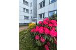 Erdgeschoßwohnung Wuppertal Gemarkung Elberfeld - 3 Zimmer, 84 m&sup2;, 1.250&euro; | Angebot:26554332