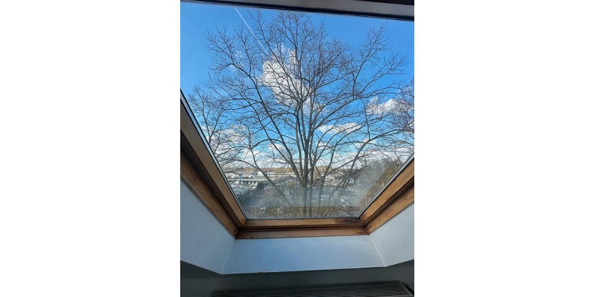 Dachgeschoßwohnung Essen Stadtbezirk IV - 2 Zimmer, 45 m&sup2;, 557&euro; | Angebot:25924154