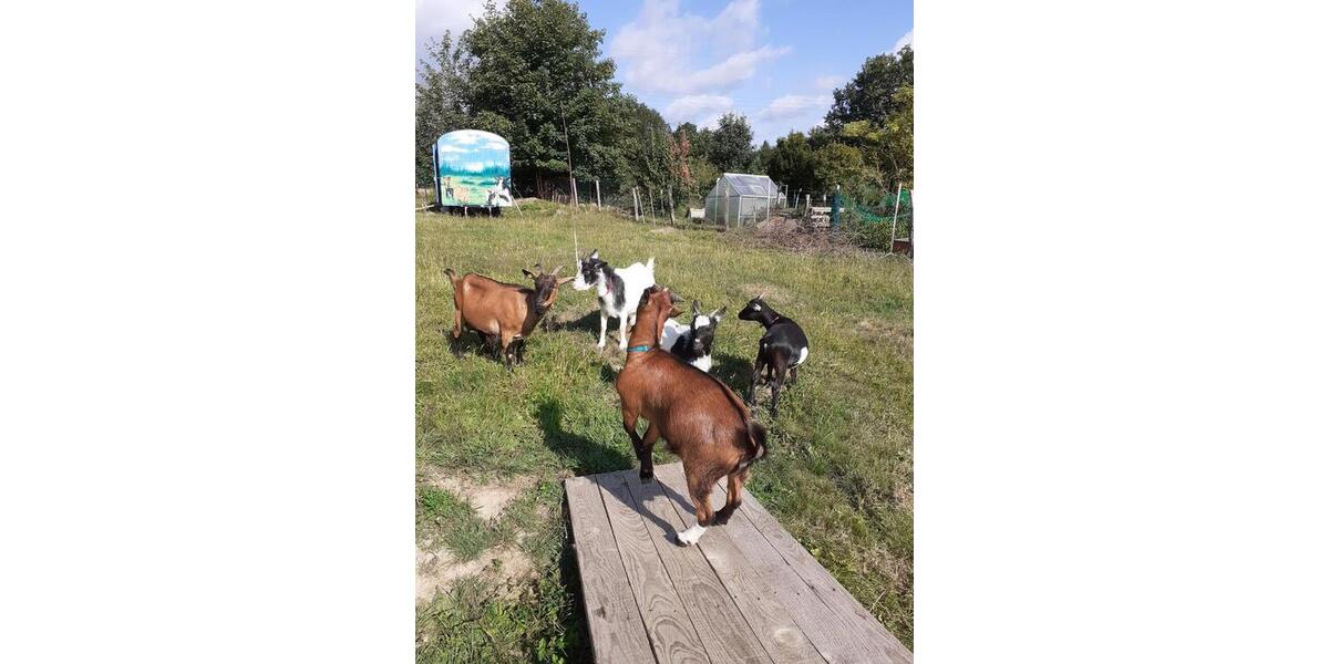 Ferienimmobilie Hückeswagen - 42&euro; | Angebot:15749014