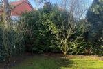 Erdgeschoßwohnung Bochum Bochum-Südwest - 3 Zimmer, 106 m&sup2;, 268.000&euro; | Angebot:25906925