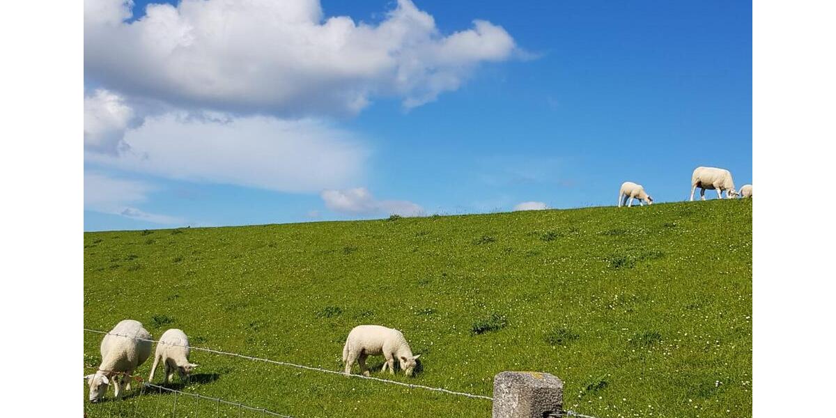 Ferienimmobilie Bochum Bochum-Südwest - 65&euro; | Angebot:25635628