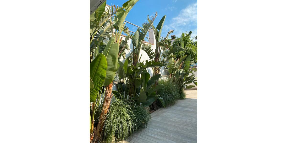 Ferienimmobilie Essen Stadtbezirk IX - 1.200&euro; | Angebot:25405431