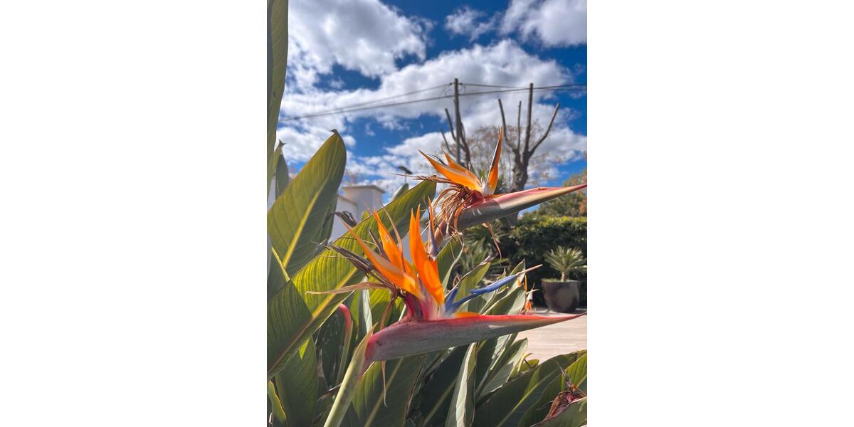 Ferienimmobilie Essen Stadtbezirk IX - 1.200&euro; | Angebot:25405431