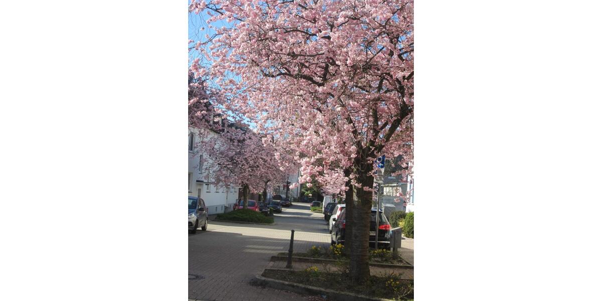 Loft - Studio - Atelier Haan - 1 Zimmer, 114 m&sup2;, 750&euro; | Angebot:25887289