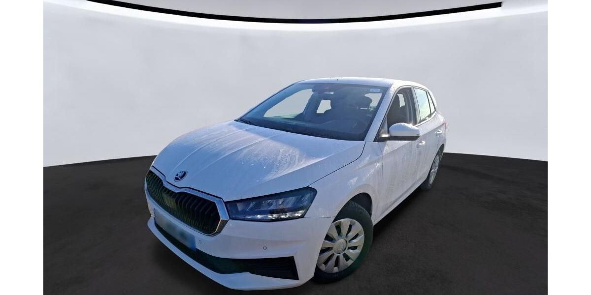 Skoda Fabia 46.624 km 11.045 &euro; Hagen 58091