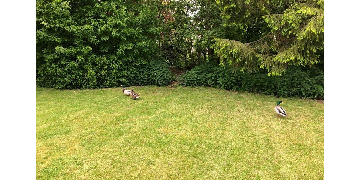 Ferienimmobilie Bochum Bochum-Südwest - 65&euro; | Angebot:25635628