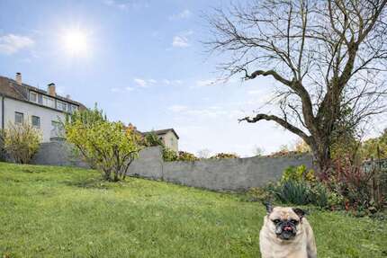 Haus Haan - 6 Zimmer, 162 m&sup2;, 418.000&euro; | Angebot:23610973