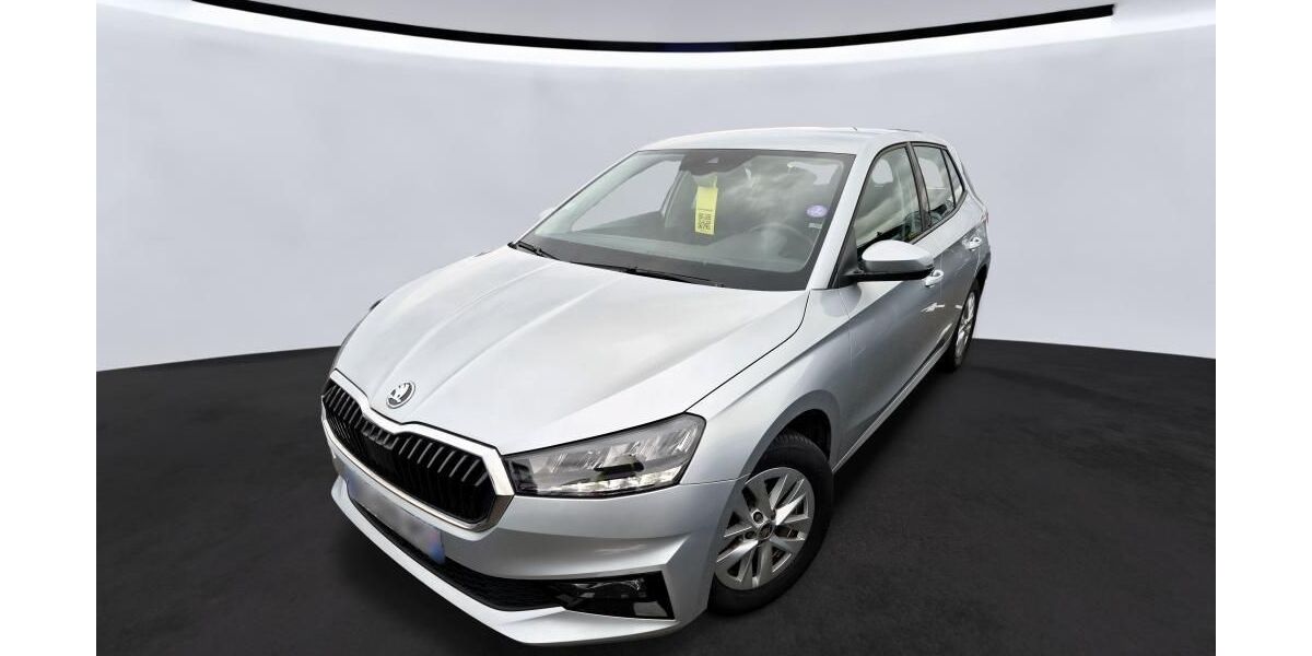 Skoda Fabia 25.402 km 13.549 &euro; Hagen 58091