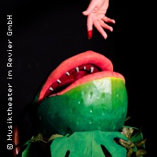Der kleine Horrorladen 14.06.2026 Musiktheater Kleines Haus