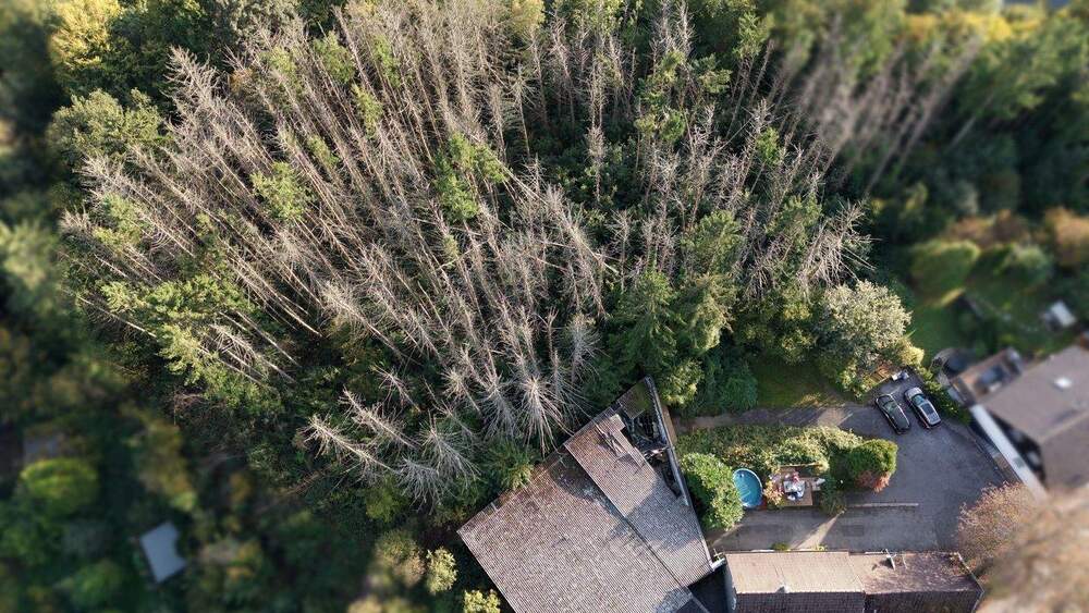 Einfamilienhaus Wuppertal Cronenberg - 1 Zimmer, 188 m&sup2;, 399.000&euro; | Angebot:25686399