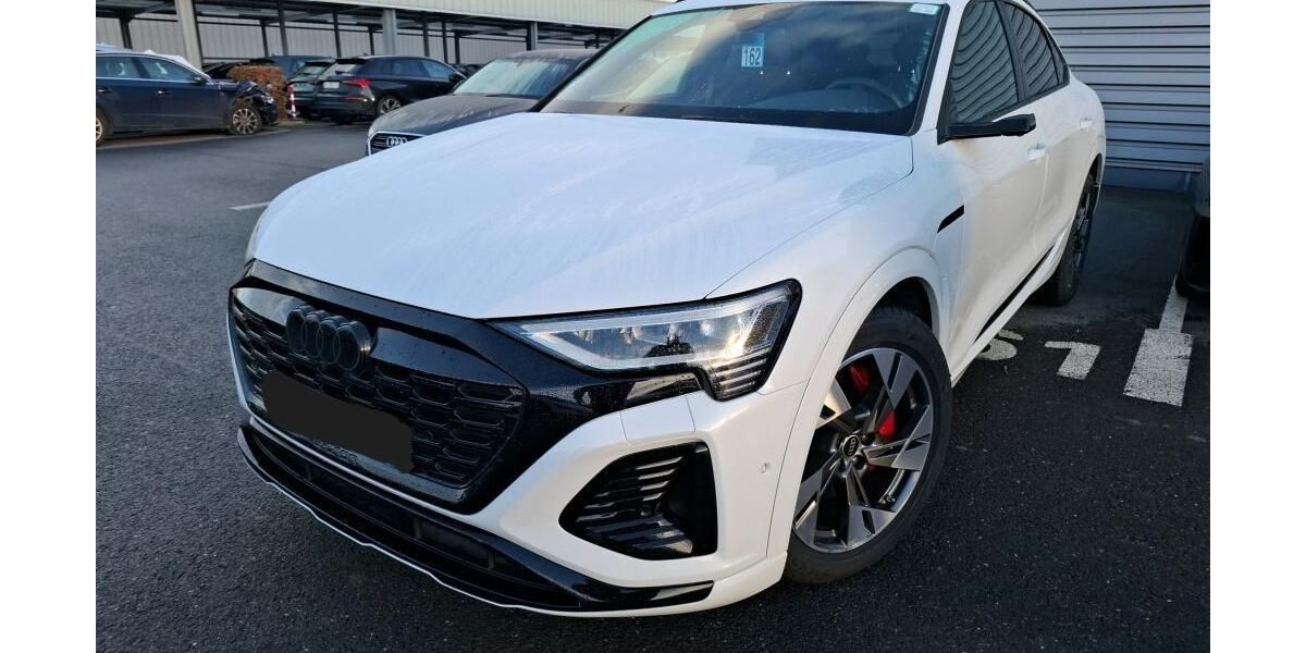 Audi Q8 e-tron 55.309 km 49.890 &euro; Hagen 58091