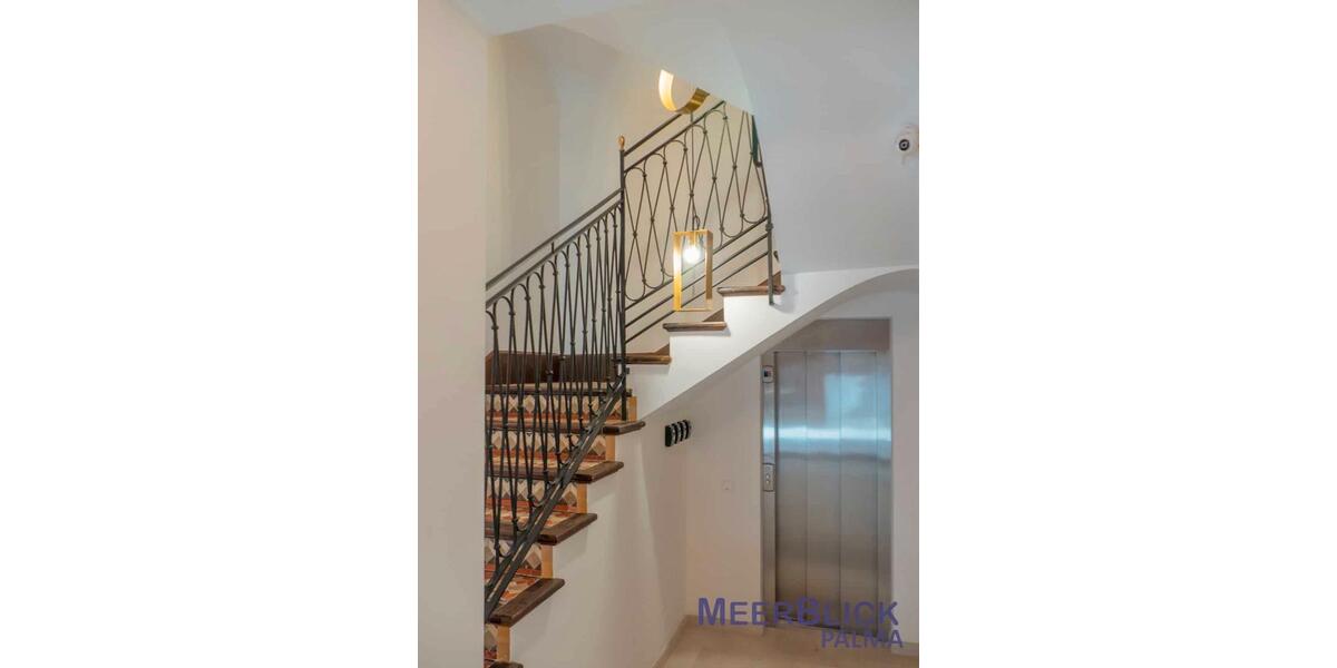 Ferienimmobilie Düsseldorf Derendorf - 4.200&euro; | Angebot:15393877