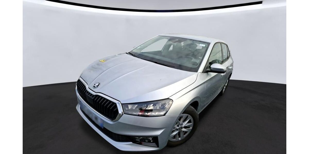 Skoda Fabia 17.828 km 13.405 &euro; Hagen 58091