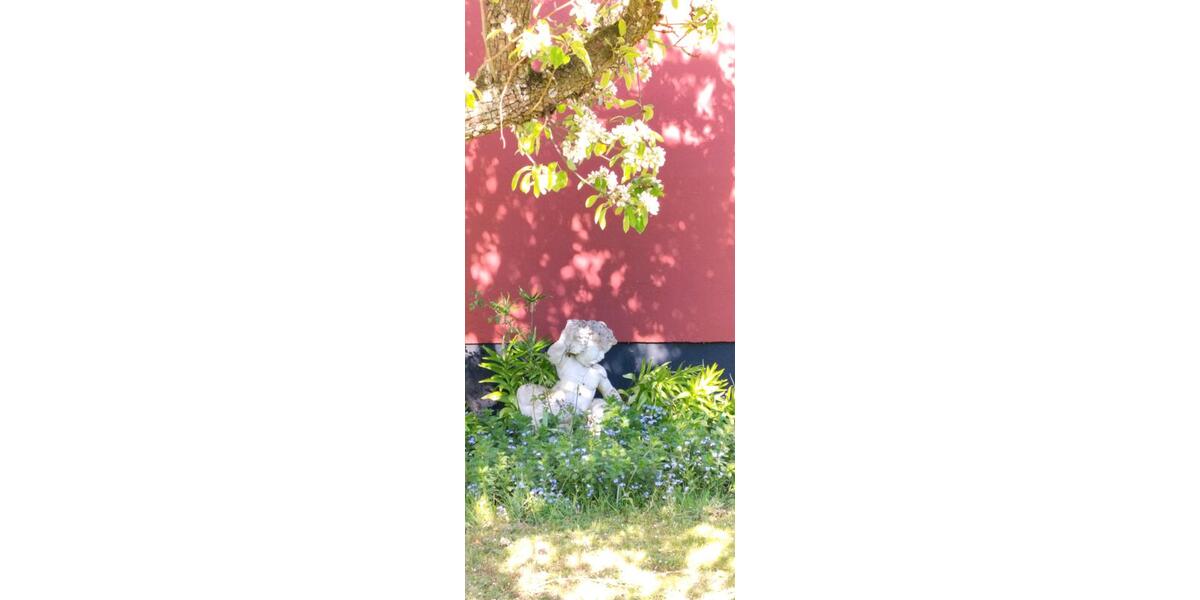 Ferienimmobilie Velbert Velbert-Mitte - 70&euro; | Angebot:25990283