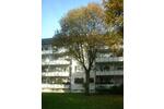 Etagenwohnung Essen Stadtbezirk IV - 2 Zimmer, 51 m&sup2;, 536&euro; | Angebot:26632725