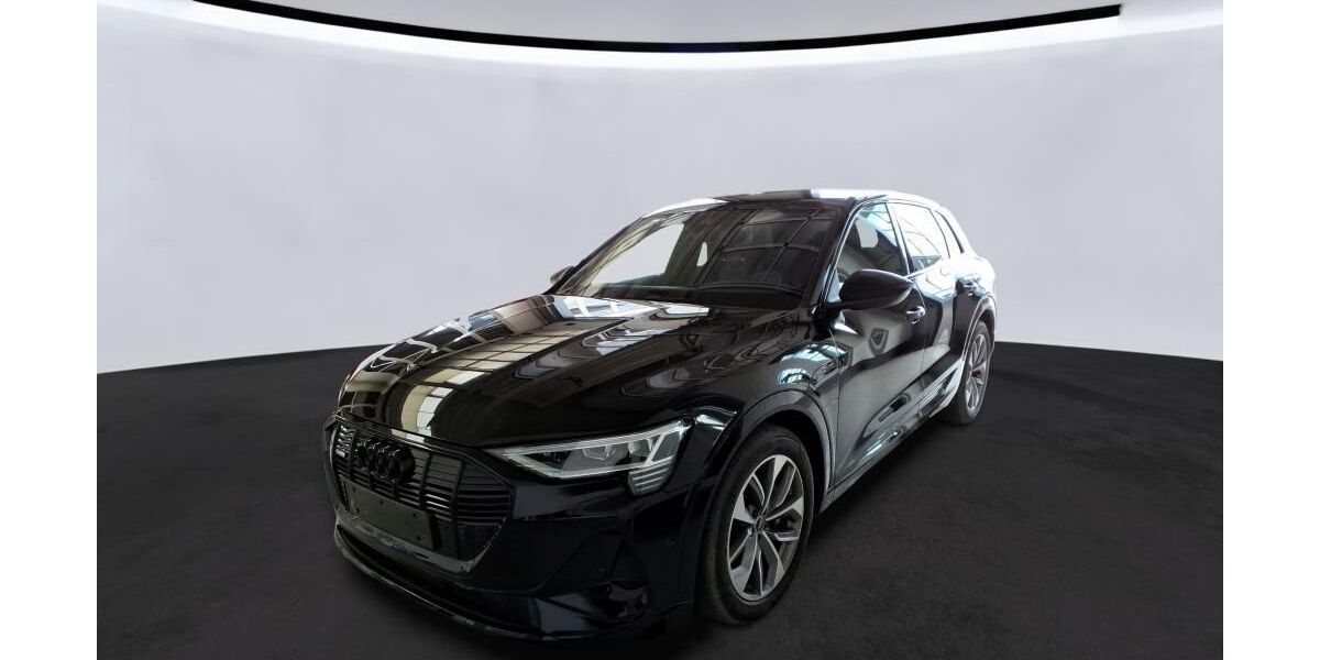 Audi e-tron 76.838 km 33.843 &euro; Hagen 58091