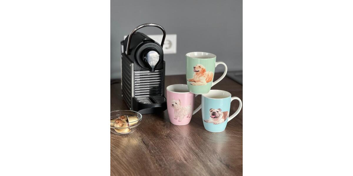 Ferienimmobilie Düsseldorf Pempelfort - 129&euro; | Angebot:23513337