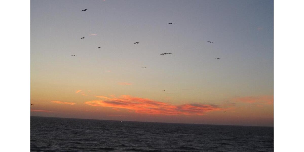 Ferienimmobilie Wuppertal Gemarkung Ronsdorf - 650&euro; | Angebot:25445243