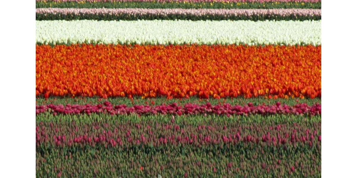 Ferienimmobilie Wuppertal Gemarkung Ronsdorf - 650&euro; | Angebot:25445243