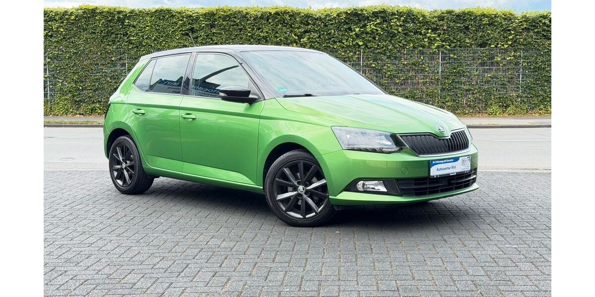 Skoda Fabia 66.700 km 9.290 &euro; Wuppertal 42329